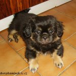 A-vrh Duhový kamínek